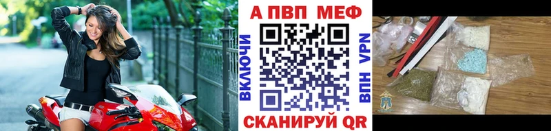 Альфа ПВП СК КРИС  Пятигорск 
