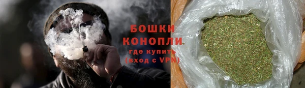 молекула духа Дмитров