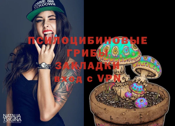герыч Дмитровск