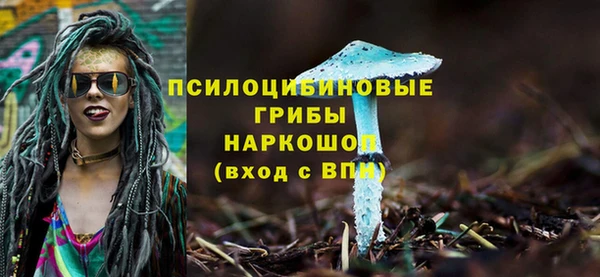 ешки Дмитриев