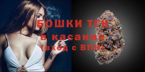 ешки Дмитриев