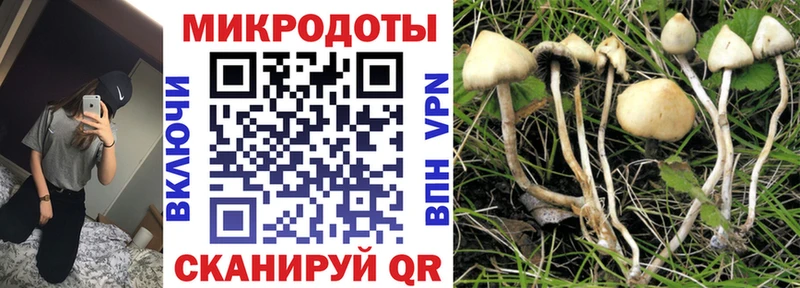 Галлюциногенные грибы прущие грибы  Пятигорск 